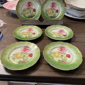 Floral Green and Pink Dinner Plate Set of six